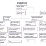 siegel lineage